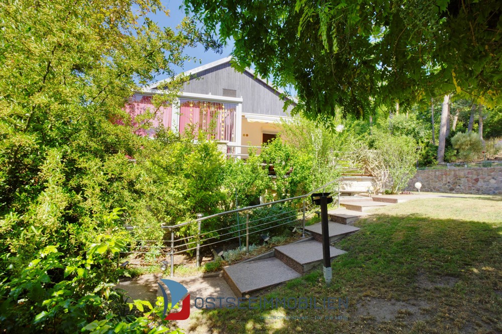 Blick v. Gewächshaus